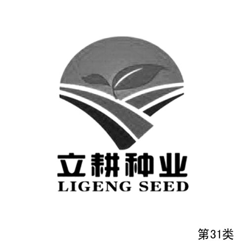 �����N�I���D�ε�31�